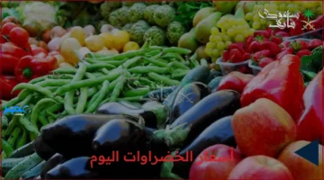 أسعار اليوم.. تحديث جديد عن أسعار الخضراوات في سوق العبور